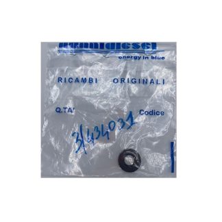 ANELLO, PARAOLIO POMPA ACQUA 970434031 Nanni